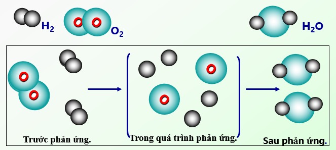 Các yếu tố ảnh hưởng đến tốc độ phản ứng hóa học